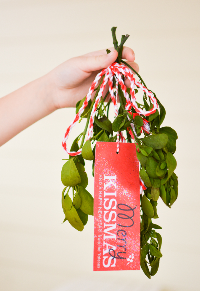 Merry Kissmas Mistletoe Printable-13